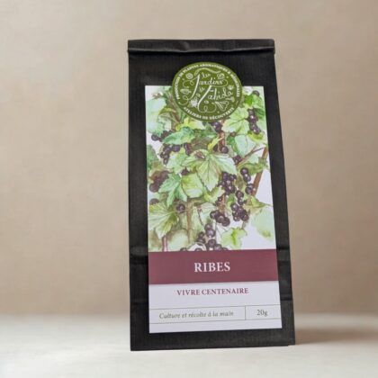 Ribes