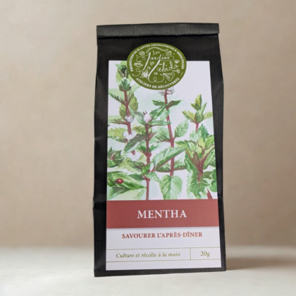 Mentha